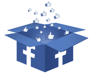 Follow Rimrock Camp on Facebook!